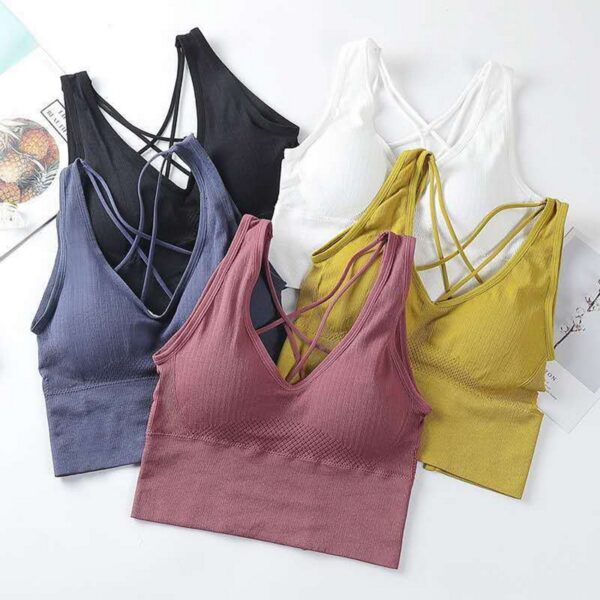 Seamless Anti-sweat Shockproof Padded Sports Bras Breathable Sports Bra for Women Yoga Gym Running Fitness Workout Sports Top - Image 3