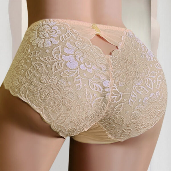 Sexy Women 's Underwear Breathable Lace Ladies Briefs Soft Hollow Out Transparent Panty Plus Size XXXL Panties Soft Shorts - Image 2