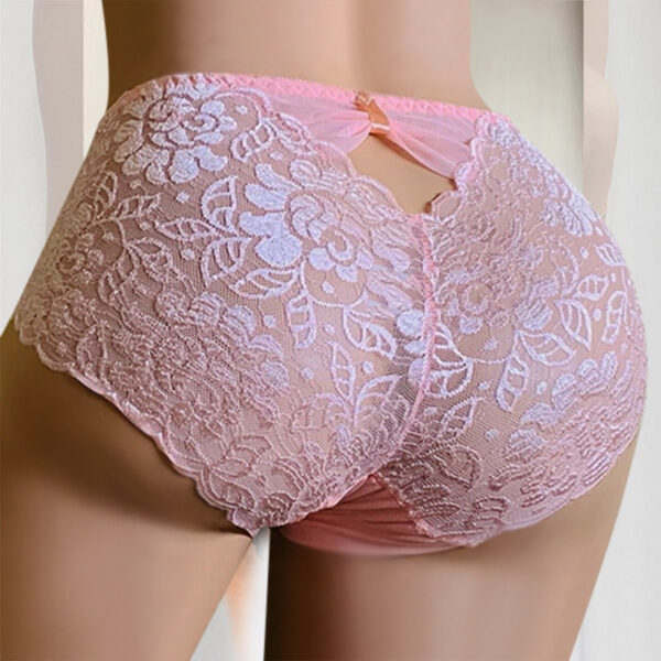 Sexy Women 's Underwear Breathable Lace Ladies Briefs Soft Hollow Out Transparent Panty Plus Size XXXL Panties Soft Shorts - Image 4