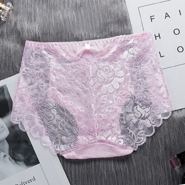 Sexy Women 's Underwear Breathable Lace Ladies Briefs Soft Hollow Out Transparent Panty Plus Size XXXL Panties Soft Shorts - Image 5