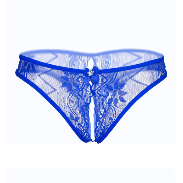 Women Sexy Lingerie Lace Underwear Floral Lace Sexy Elastic Waist See Underwear Lace Erotic Transparent Panties Hollow Out Sexy - Image 3