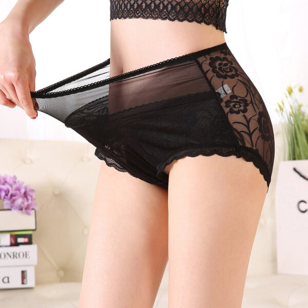 women's Panties large sizes with High Waist Sexy Lace Transparent panties women Big Briefs Plus Size Underwear Female Xxxl XxxxL - Image 2